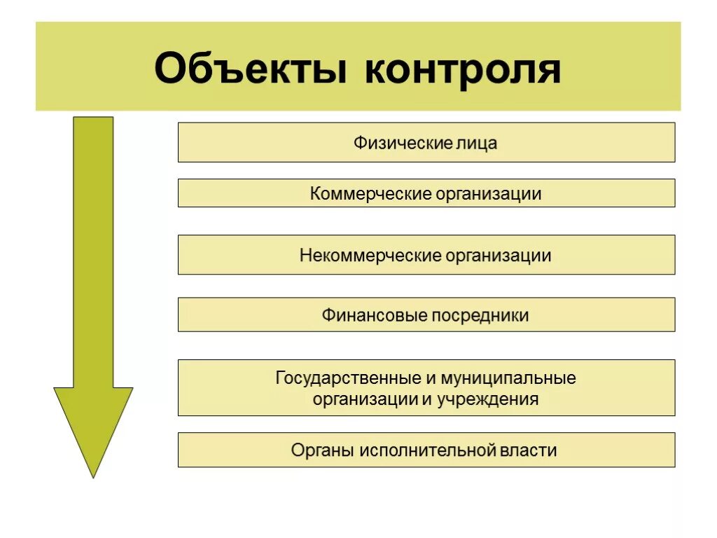 Основными объектами контроля являются