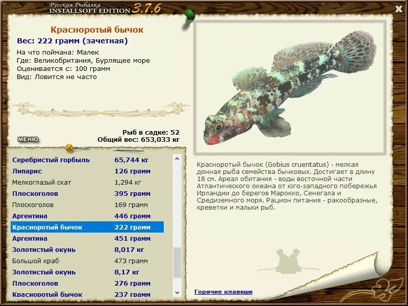 рыба морской петух описание. петух русской рыбалки. петух русской рыбалки. 6 норвегия морской петух. морской петух чешуя.