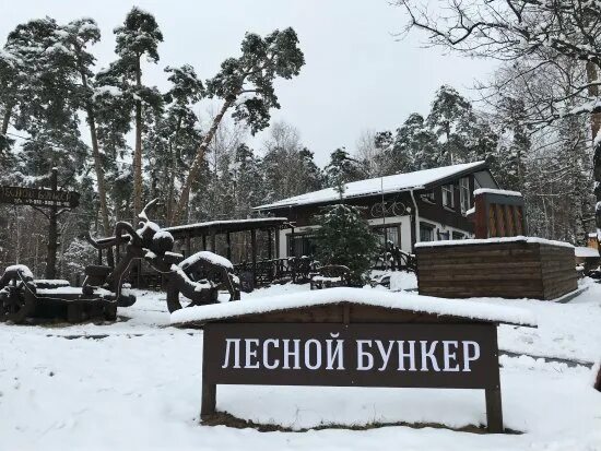 Лесной бункер солотча. Гостиница Лесной бункер Рязань Солотча. Лесной бункер Солотча кафе. Кафе Лесное Рязань Солотча.