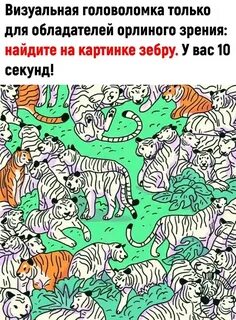 Найдите барсука