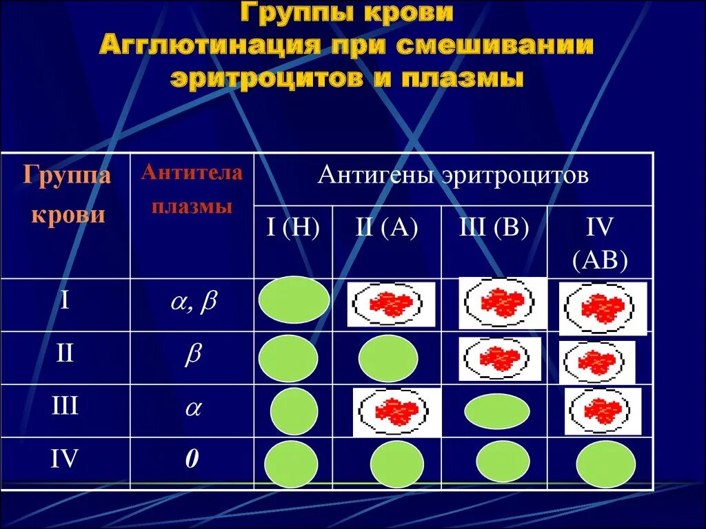 Таблица агглютинации групп крови. Реакция агглютинации группы крови. Реакция агглютинации с 1 и 3 группой крови. 1 Группа крови агглютинация.