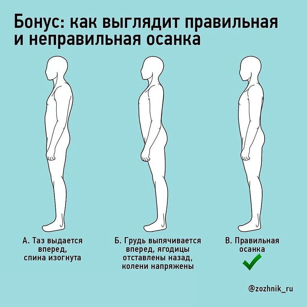 Кажущийся как правильно