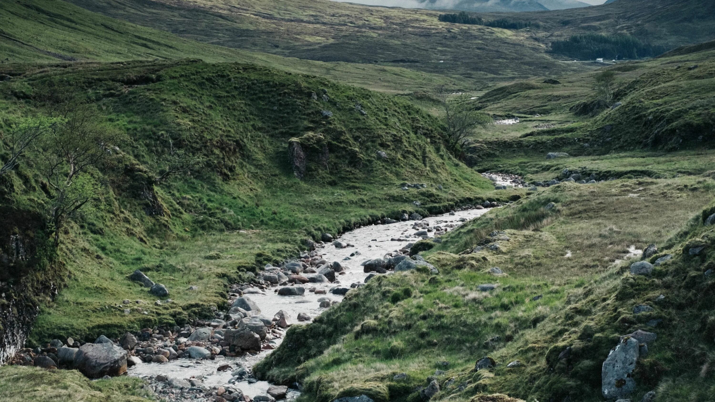 Stream path stream. Stream stone. 4k foto.
