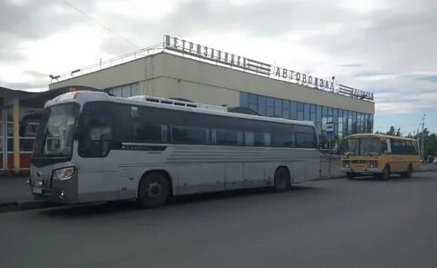 Автобус петрозаводск костомукша