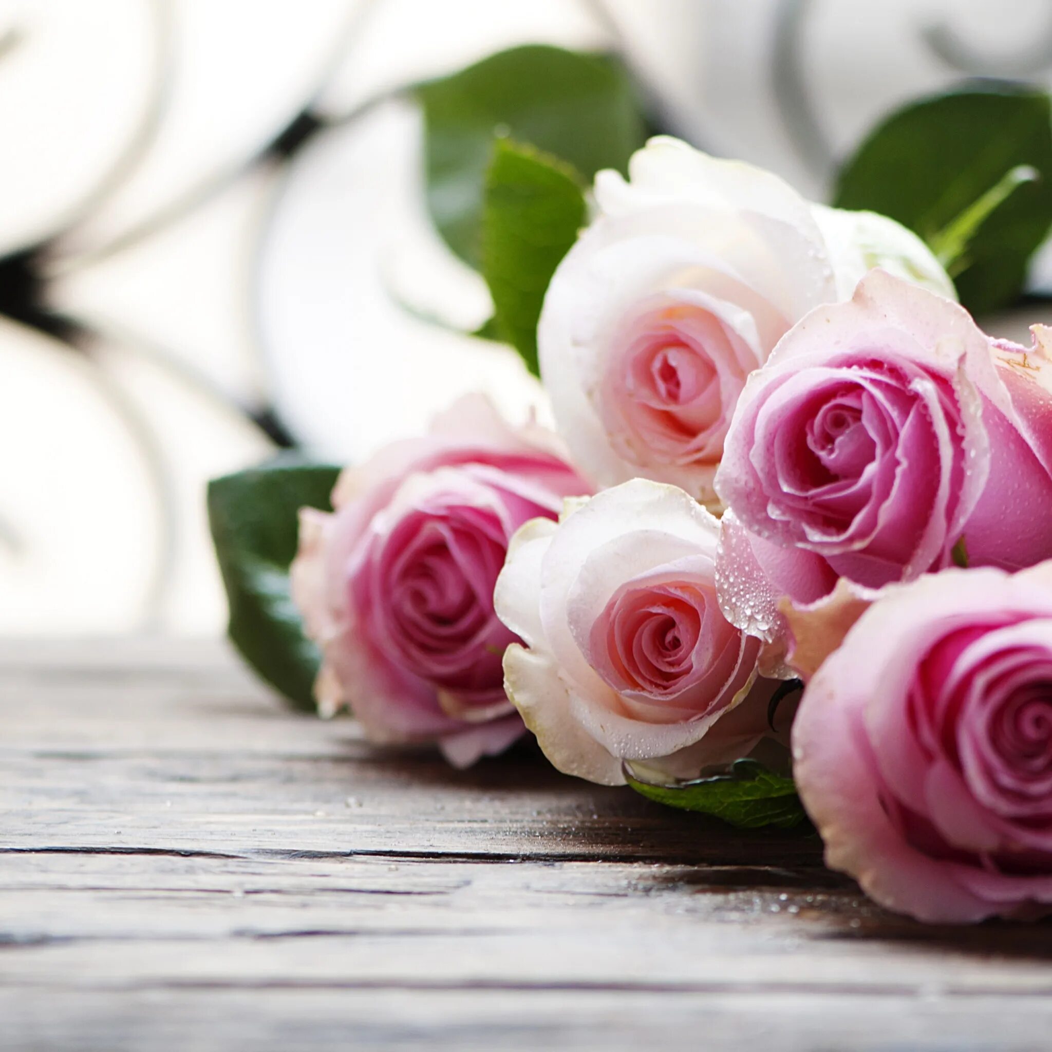 красивые цветы розы. нежные розовые розы. картинки на стол розы. картинки на стол розы. картинки на стол розы.