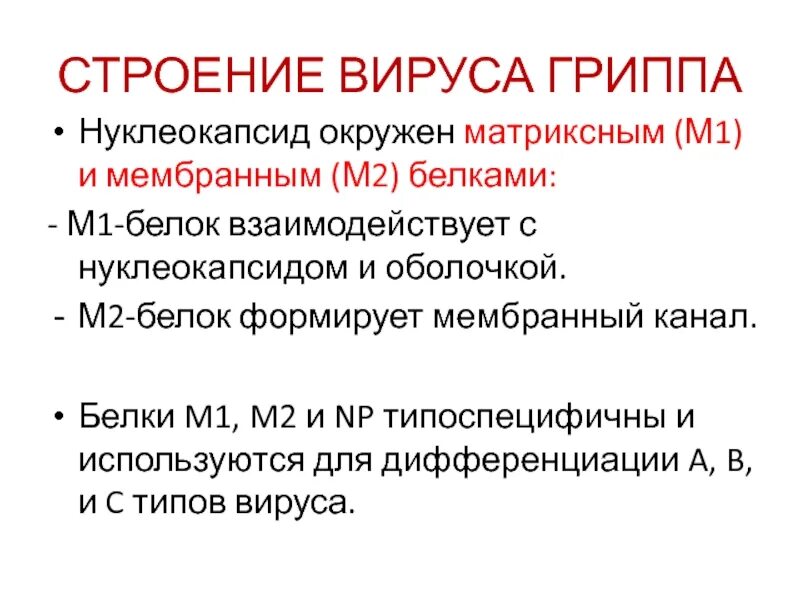 Белок вируса гриппа. Белок м2 вируса. M2 белок вирус гриппа. Строение гриппа вируса м 2 белок. Строение вируса гриппа м 1 и м2.