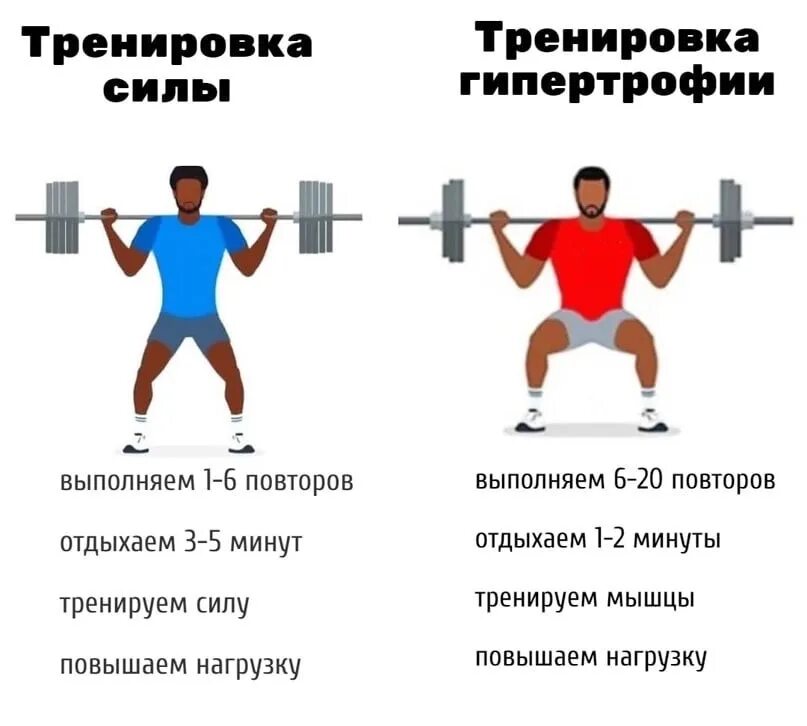 Тренировка силы мышц
