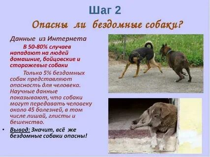 Почему собака не дает