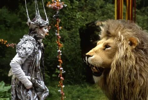 Lion wardrobe