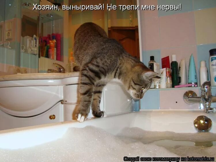 анекдоты про нервных. трепать нервы. разница в возрасте цитаты. шутки про нервных.