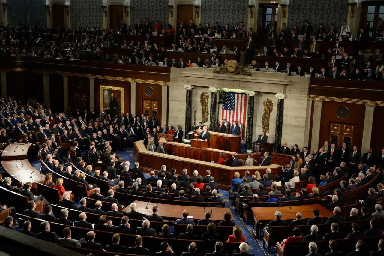 Конгресс сша примет. Конгресс США это парламент. Двухпалатный конгресс США. Нижняя палата конгресса США. Функции Сената и палаты представителей в США.