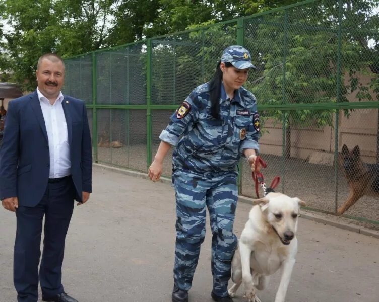 ЦКС УВД по ВАО. ЦКС ГУ МВД. Кинологи УВД по ВАО. Центр кинологической службы УВД по ЮВАО Москва.