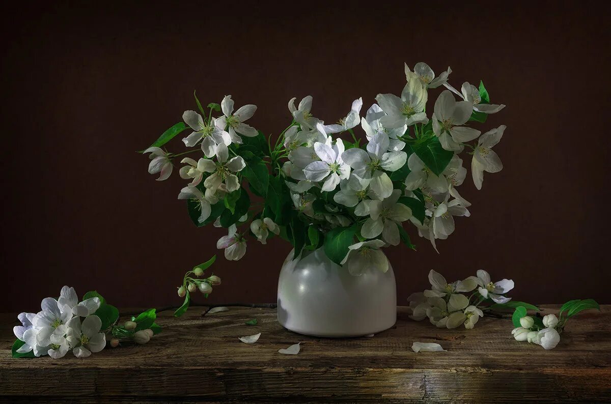 весенняя природа. цветы бокаловидной формы. цветение магнолии в аптекарском огороде. загадка про липу. поздно расцветает.