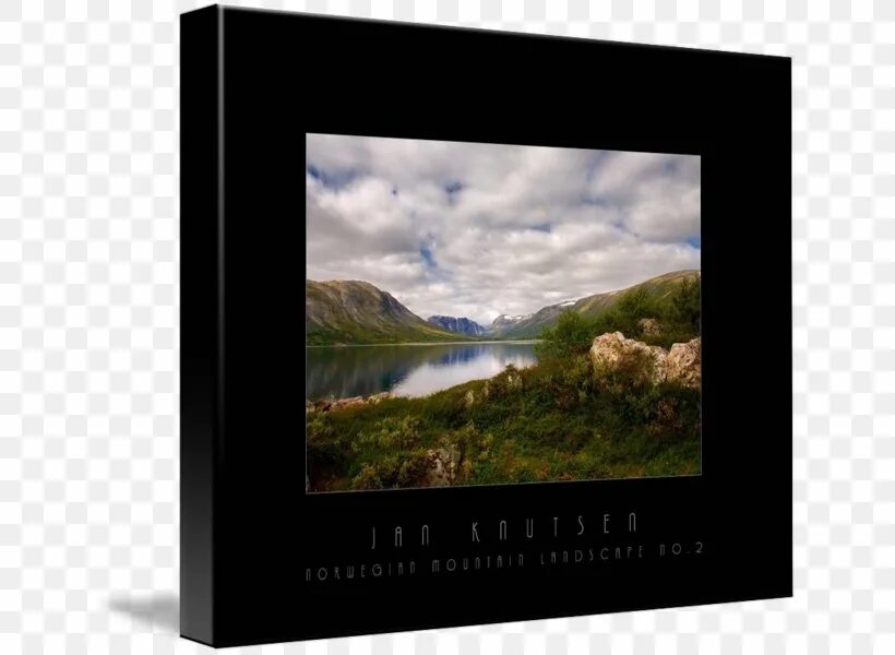 Framing device