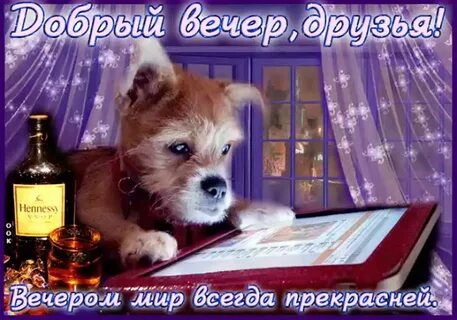 Добрый вечер понедельника надписи