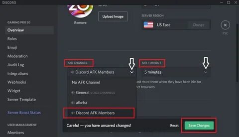 Дискорд фпс