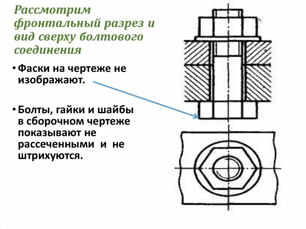 Разрез болтового соединения чертеж. Резьбовое соединение винт гайка. Резьбовое соединение гайкой на чертеже в разрезе. Соединение шайбы и болта чертёж. Соединение болт гайка шайба