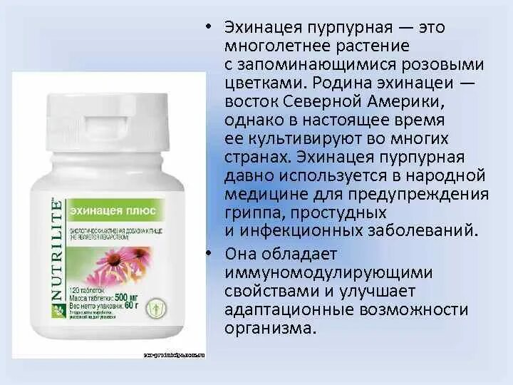 Какие витамины пить при онкологии. Amway nutrilite витамины. эхинацея nutrilite. эхинацея amway. нутрилайт дейли.