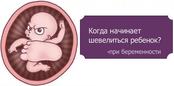 На какой неделе шевеления. Когда начинает шевелиться ребенок. Малыш в животике. Когда начанает шевелиться ребёнок.