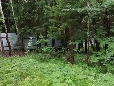 Участок левково. Участок левково. Коттеджный поселок левково. Левково 1 коттеджный поселок. Коттеджный поселок левково.