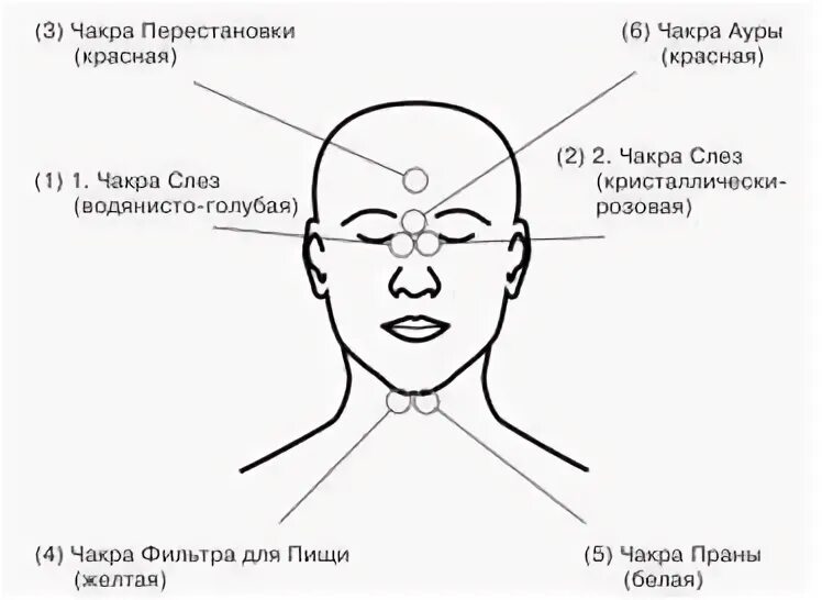 Энергетические центры в голове. Чакры головы человека. Чакра на затылке. Точки на лице чакры. Значение темени