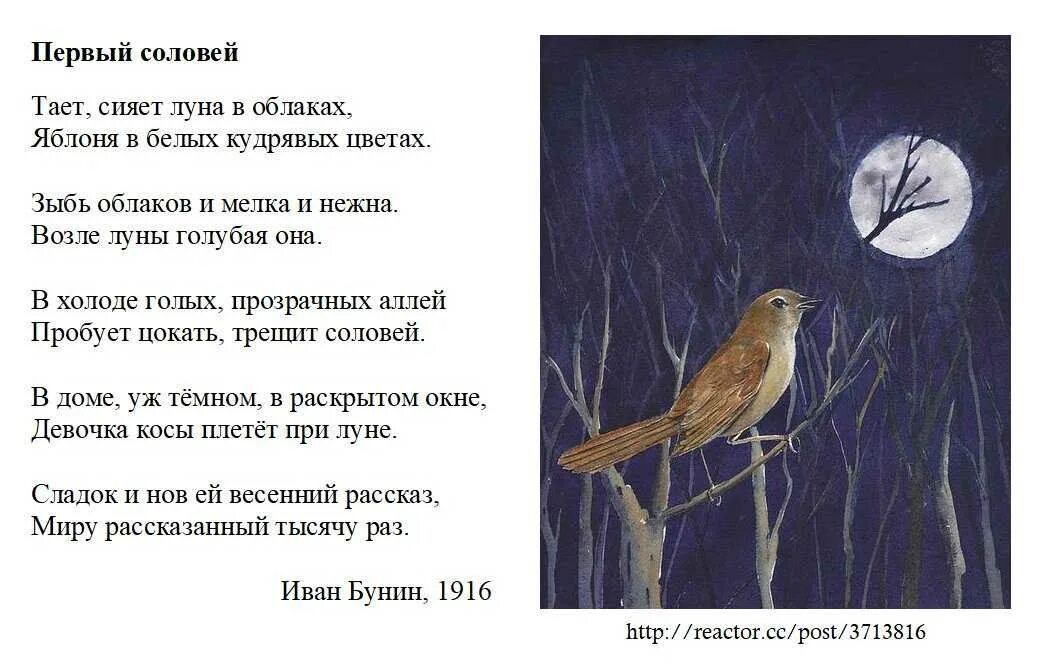 Стихотворение первый Соловей Бунин. Стихотворение соловьи. Первый Соловей стих. Детский стишок про соловья.