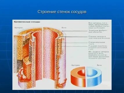 Какую ткань стенки