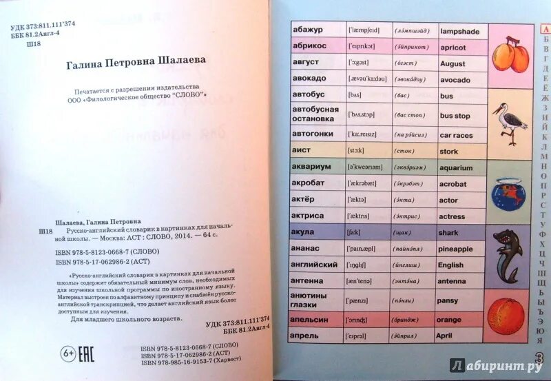 Русско-английский словарик для начальной школы г.п.Шалаева. Шалаева русско-английский словарик. Английский словарик для начальной школы Шалаева. Английский словарь для начальной школы. Русско английское произношение слов 2 класс