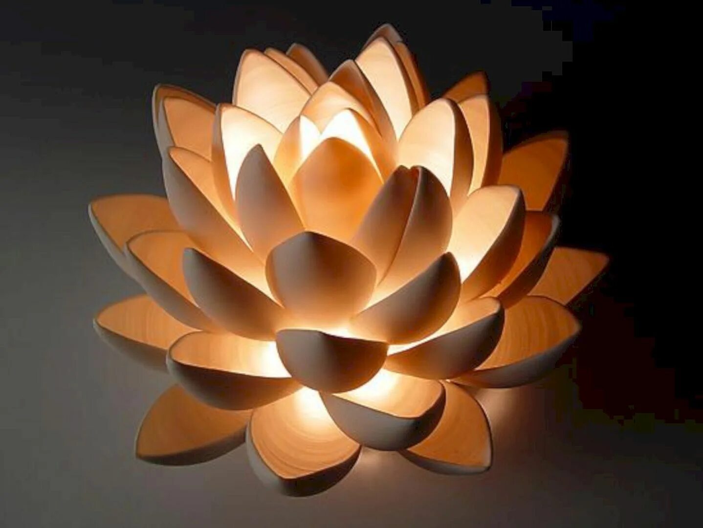 Приложение lotus lamp x. Керамический светильник. лотос светильник из керамики. цветок из керамики светильник. lotus table lamp.