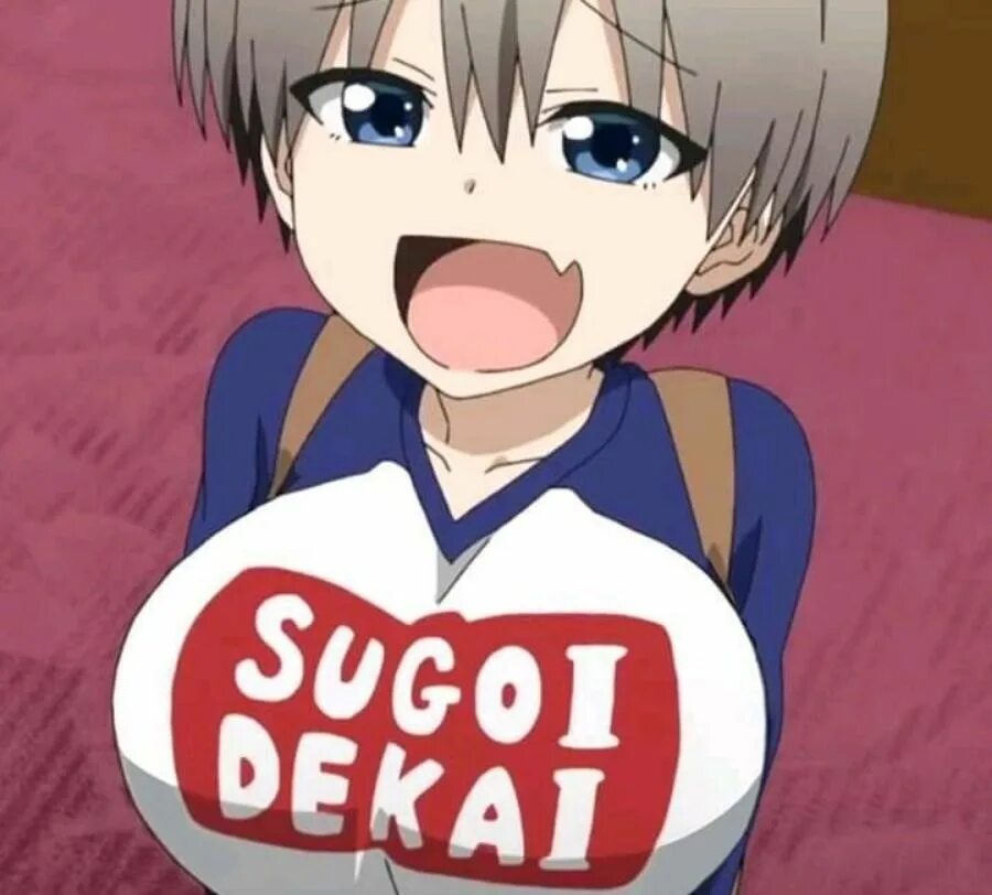 Sugoi dekai. Сугой деккай. Uzaki. Удзаки мемы.