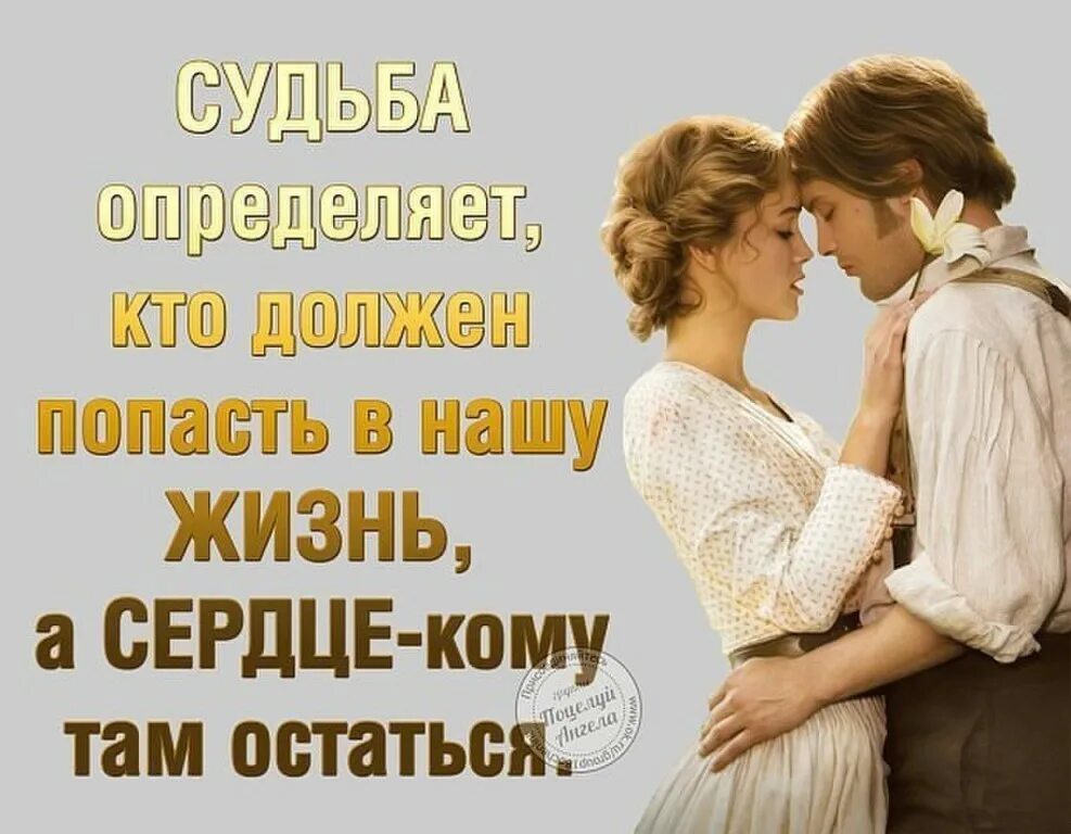 Друг сердечный это. Судьба нас сводит с людьми. Судьба нас сводит с нужными людьми. Цитаты про сердце. Фразы про сердце.