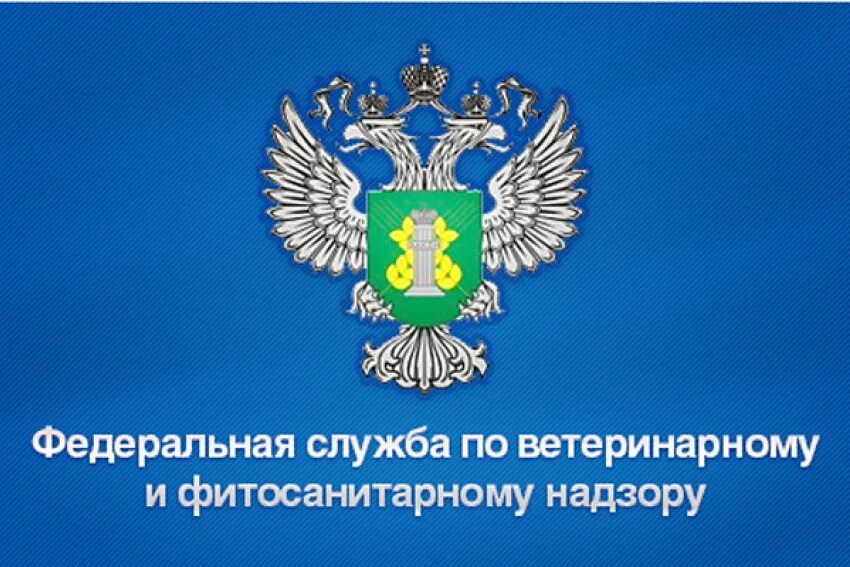 Ветеринарный надзор рф. Россельхознадзор. Федеральная служба по ветеринарному надзору. Федеральная служба по ветеринарному и фитосанитарному контролю. Россельхознадзор логотип.