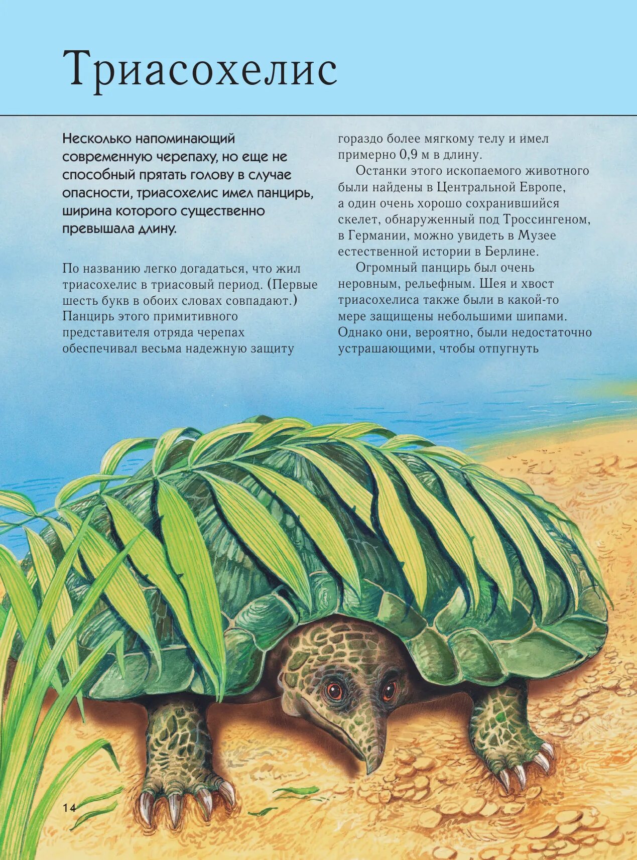 книга вымершие животные полная энциклопедия. энциклопедия вымершие животные. энциклопедия эксмо животные. полная энциклопедия. книга вымерших животных.