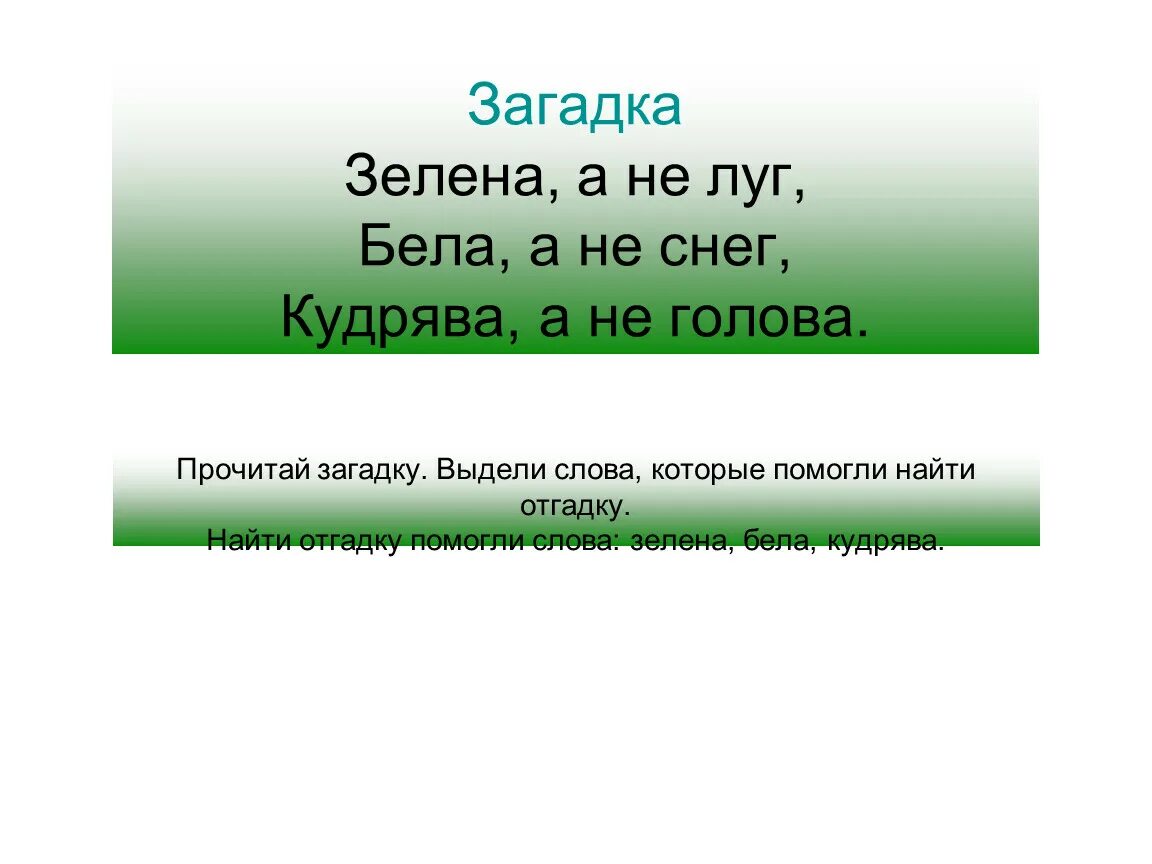 Подчеркни зеленым цветом. Зелена а не луг бела а не снег кудрява а не человек отгадка. Зеленые загадки. Зелена а не луг бела а не снег. Загадка Зелена а не луг.