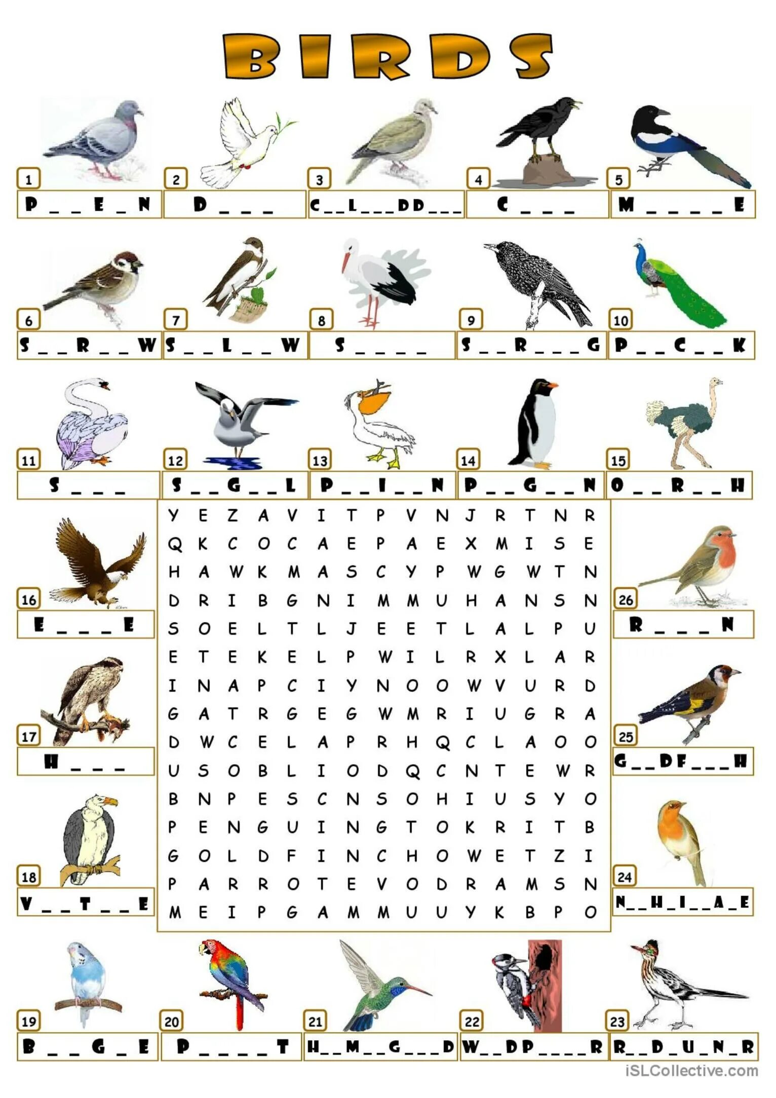 Задания по английскому тема птицы. Птицы на английском языке. Птицы на английском упражнения. Birds Wordsearch for Kids.