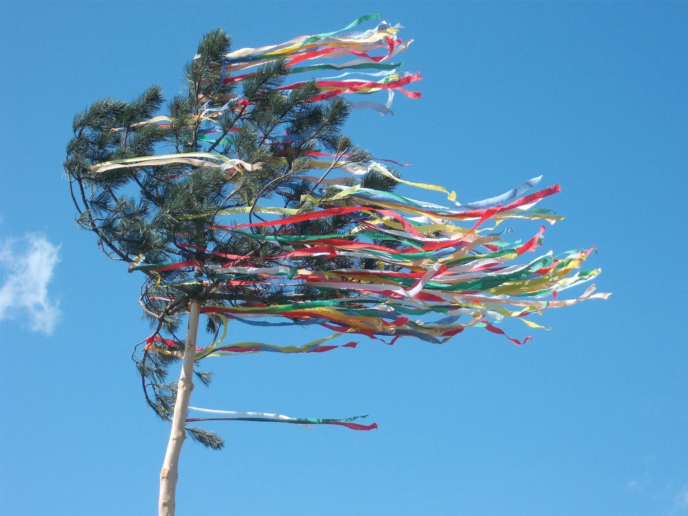 1 мая дерево. Maypole Майское дерево. Майское дерево Бельтейн. Майское дерево Вальхейм. Майское дерево Мюнхен.