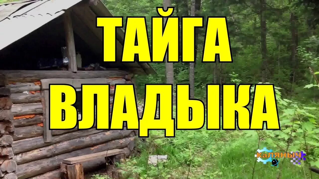 Аудиокнига дед каляныч. Амба тайга. случай в тайге коляныч. аудиокнига каляныч. случай в тайге. аудиокниги про староверов в тайге.