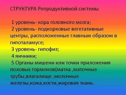 Репродуктивная система человека функции