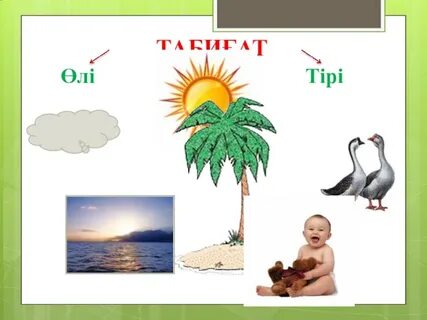 Майлы азиялықтардың сексі