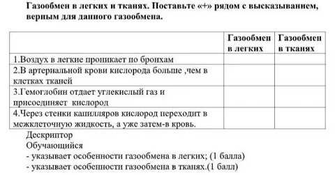 Какая ткань способствует газообмену