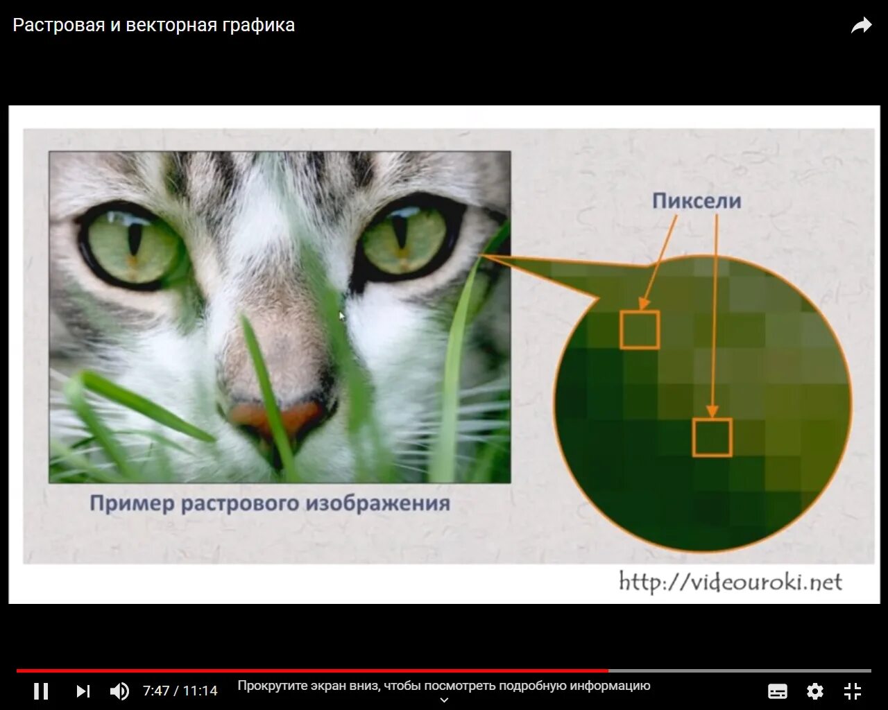 Увеличение размера изображения растровая графика. Изображение растровой графики. Растровое изображение примеры. Растровая Графика примеры. Растровая компьютерная Графика.