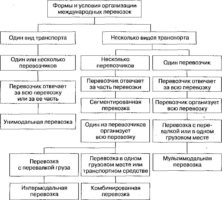 Формы и условия организации международных перевозок. Виды перевозок грузов. Схема международных перевозок. Виды транспортных перевозок.