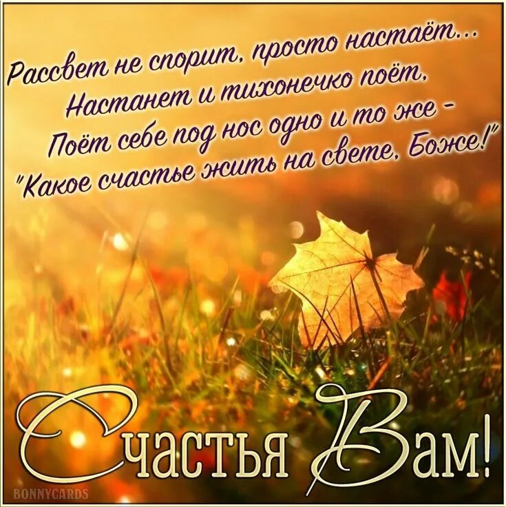 Включи света осень. Осеннее солнце. Осень солнце. Осень листья солнце. Осенние обои.