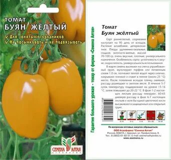 Буян желтый характеристика