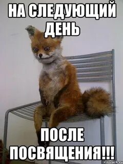 После посвящения