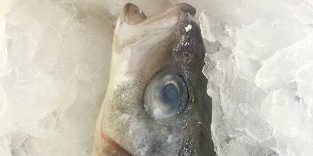 Росрыболовство отслеживает стабильность поставок рыбной продукции на внутренний 