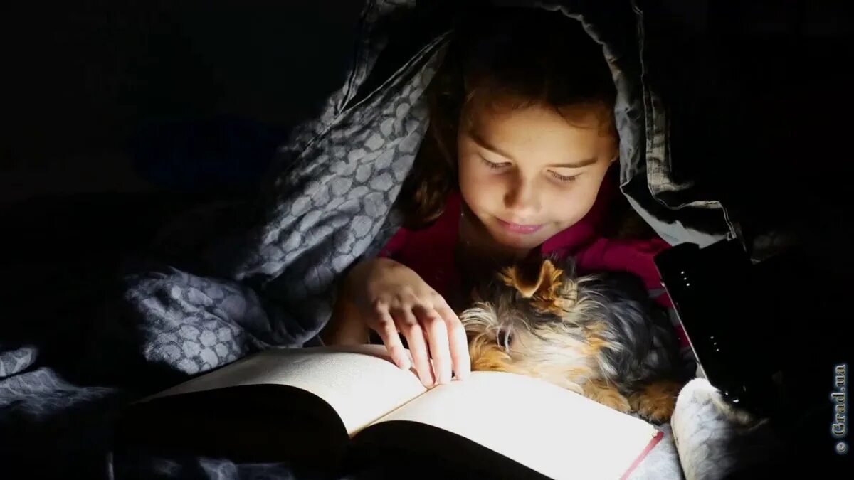 Девушка читает в кровати. Девушка с книгой. Девушка с книжкой. Девочка читает ночью. Чтение книг.