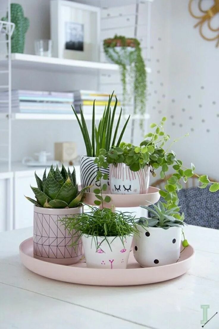 10 Indoor Plant Stand Ideas