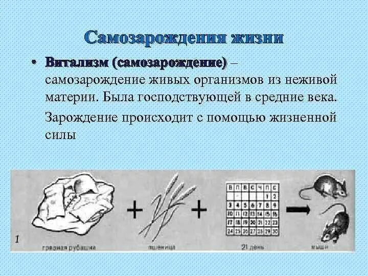 Гипотеза живое из неживого. Гипотеза самозарождения жизни. Теория самозарождения. Гипотеза самопроизвольного зарождения. Представления о возникновении жизни самозарождение.