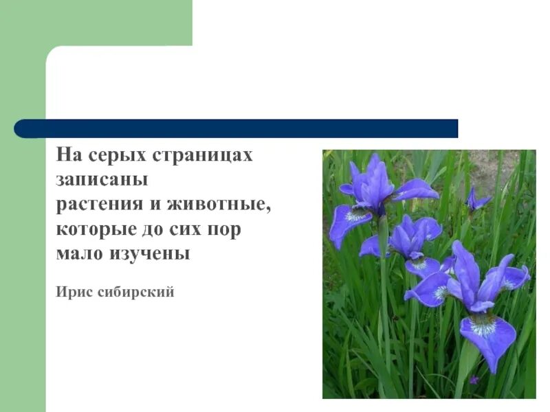 "Красная книга или Возьмём под защиту"